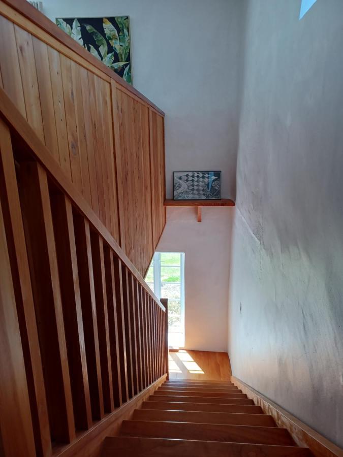 Pirita Vineyard Cottage. Upper Moutere Extérieur photo