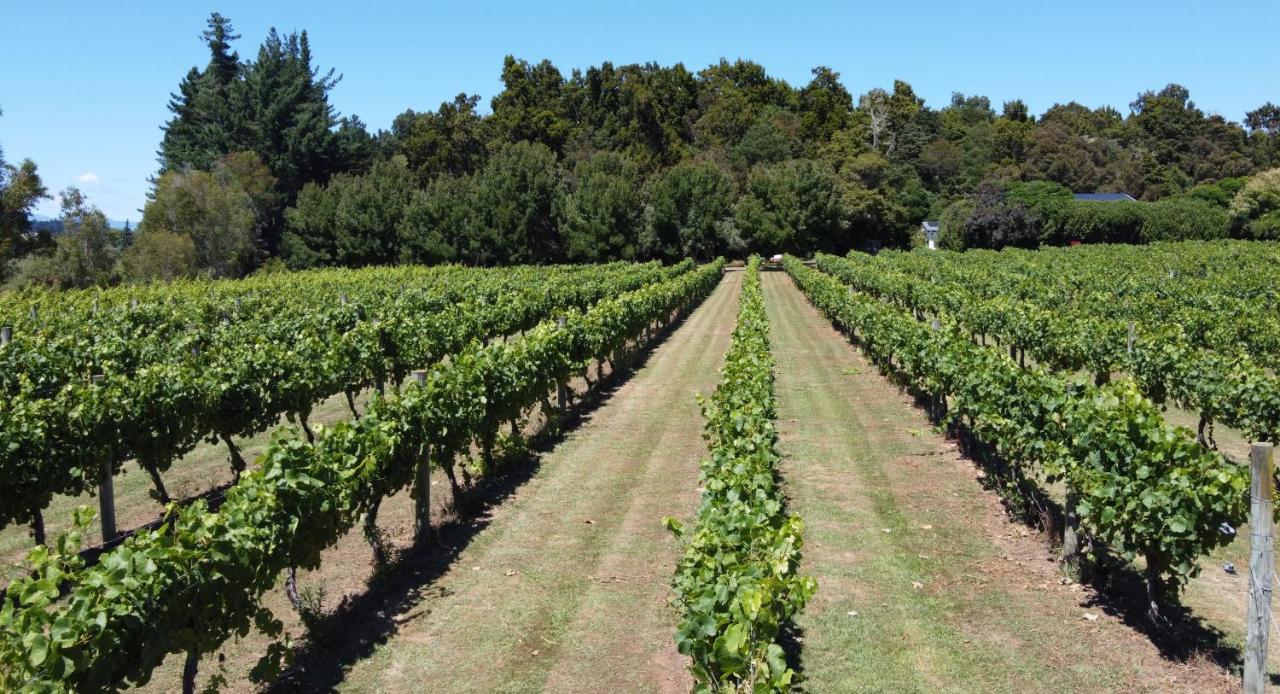Pirita Vineyard Cottage. Upper Moutere Extérieur photo